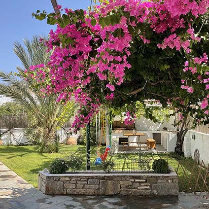 Στούντιος και διαμερίσματα Rodia στην Πάρο