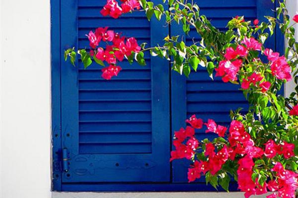 Γραφικό παράθυρο με βουκαμβίλια στην Πάρο